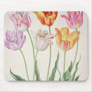 Tulips, from the 'Nassau Florilegium' (w/c on pape Mouse Pad