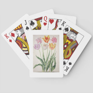 Tulips, from the 'Nassau Florilegium' (w/c on pape Playing Cards
