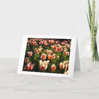 tulips galore holiday card