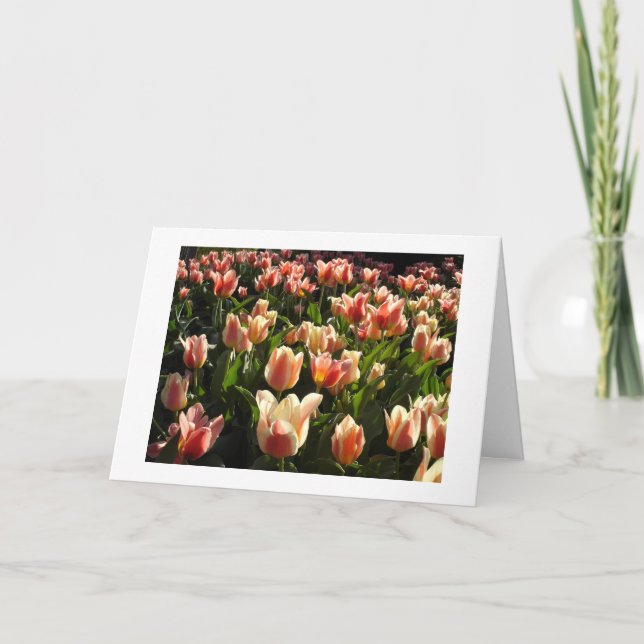 tulips galore holiday card (Front)