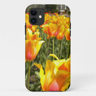 Tulips Galore iPhone 5 case