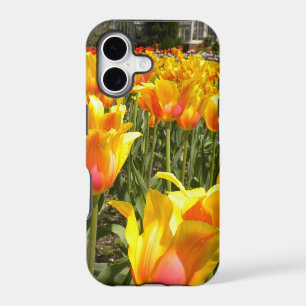 Tulips Galore iPhone 5 case