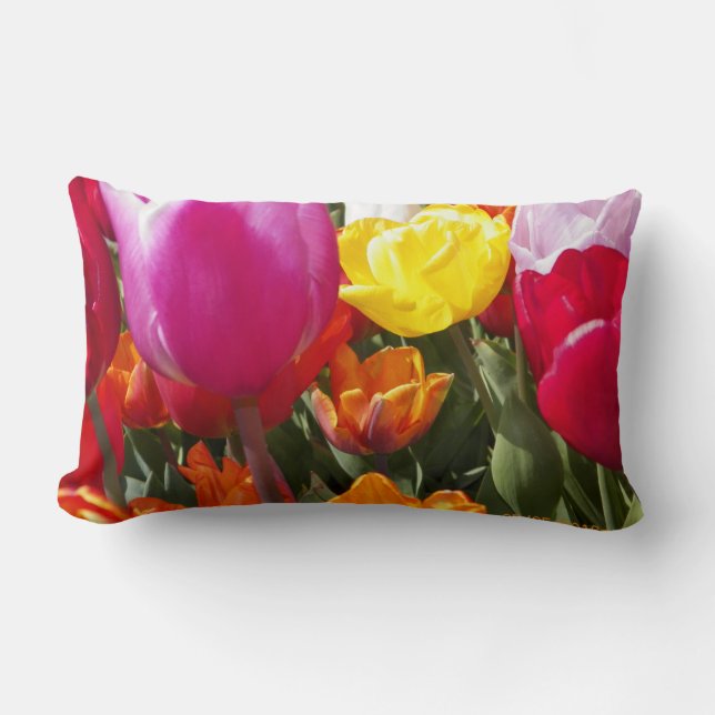 Tulips galore lumbar pillow (Front)