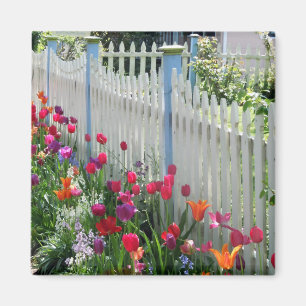 Tulips garden white picket fence square magnet