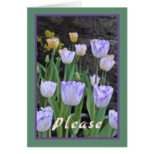 Tulips/Get Well Soon/From All Of Us