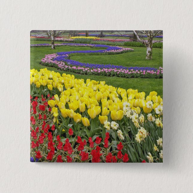 Tulips, Grape Hyacinth, and Daffodils, 2 Inch Square Button (Front)
