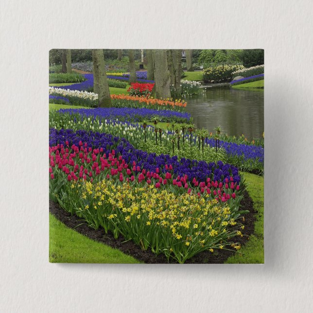Tulips, Grape Hyacinth, and daffodils, 2 Inch Square Button (Front)