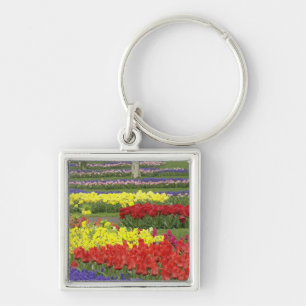 Tulips, Grape Hyacinth, and Daffodils, 2 Keychain