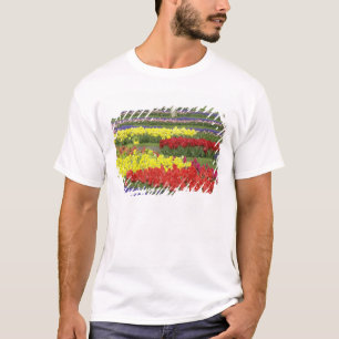Tulips, Grape Hyacinth, and Daffodils, 2 T-Shirt