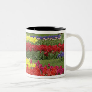 Tulips, Grape Hyacinth, and Daffodils, 2 Two-Tone Coffee Mug