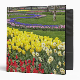 Tulips, Grape Hyacinth, and Daffodils, Binder