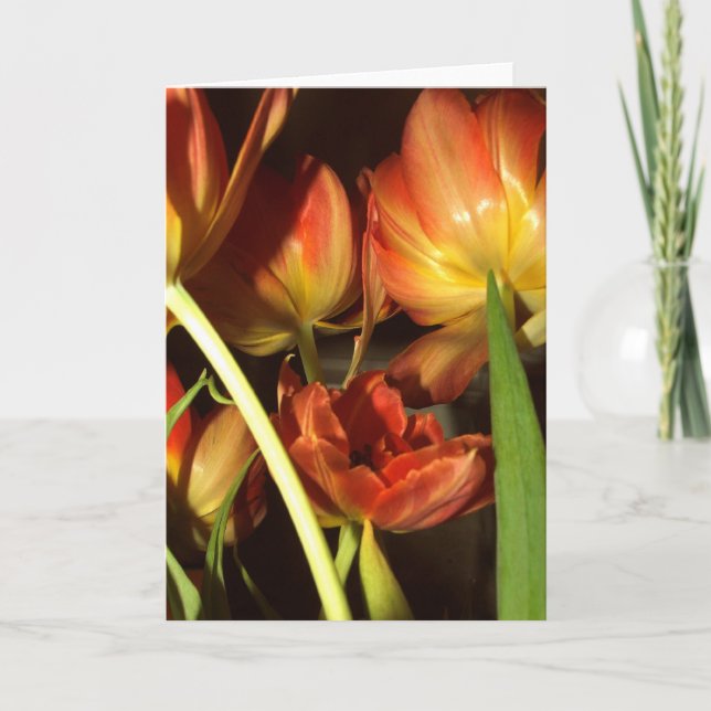 Tulips greetings cards (Front)
