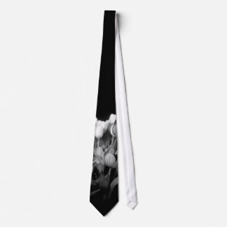 Tulips in Black & White Tie