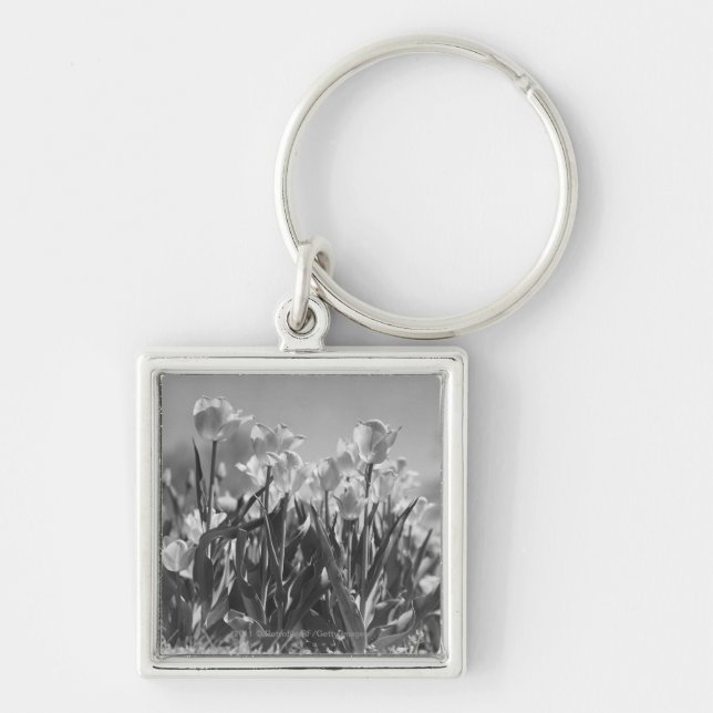 Tulips in bloom keychain (Front)