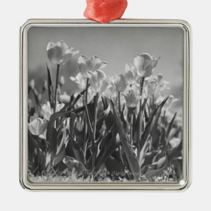 Tulips in bloom metal ornament