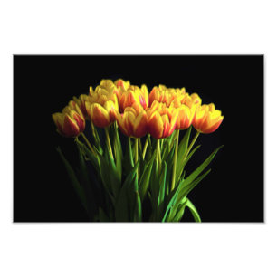 Tulips in Flower Vase Photo Print