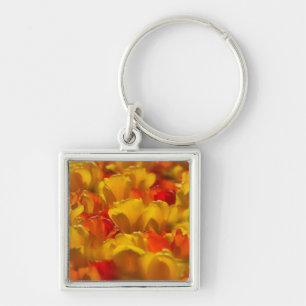Tulips in Keukenhof Gardens, Amsterdam, 2 Keychain