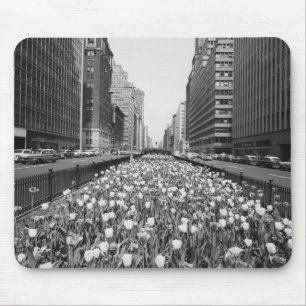 Tulips in middle of city street mouse pad