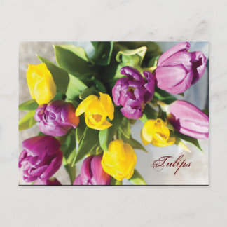 Tulips in Spring Postcard