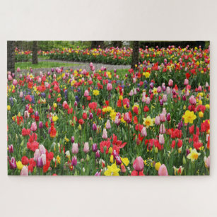 Tulips In Springtime Garden Path Colourful Large Jigsaw Puzzle