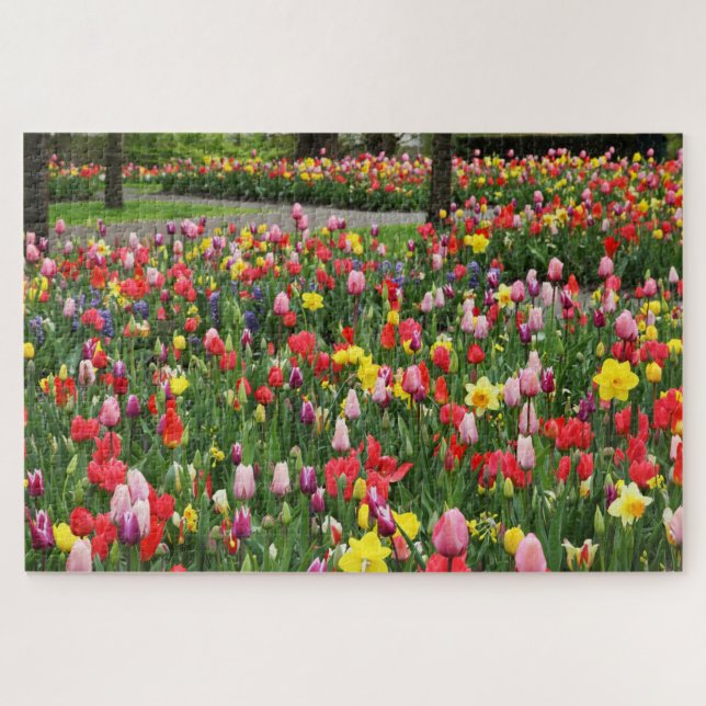 Tulips In Springtime Garden Path Colourful Large Jigsaw Puzzle (Horizontal)
