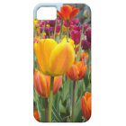 Tulips In The Breeze iPhone Case