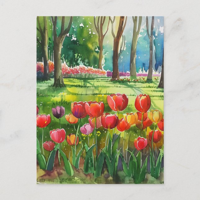 Tulips in The Park Postcard (Front)