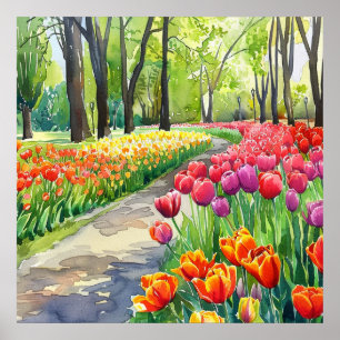 Tulips in The Park Poster