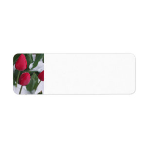 Tulips in the Snow address labels