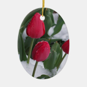 Tulips in the snow ornament