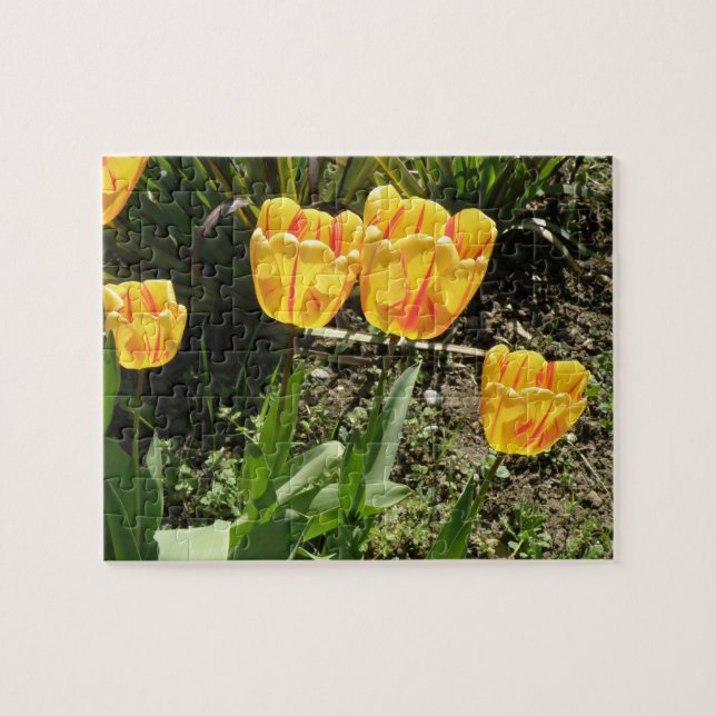 Tulips in the Sun Puzzle (Horizontal)