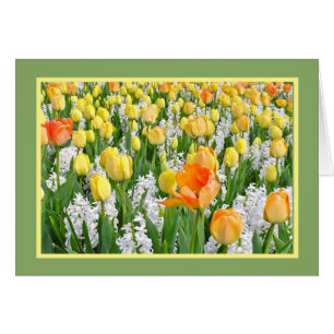 TULIPS JAUNE, TANGERINE AVEC HYACINTHÈQUES BLANCS