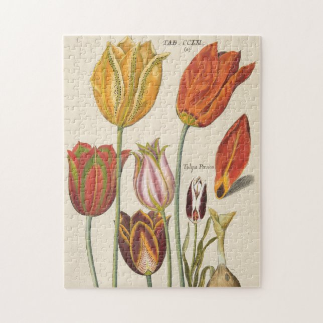 Tulips Jigsaw Puzzle (Vertical)