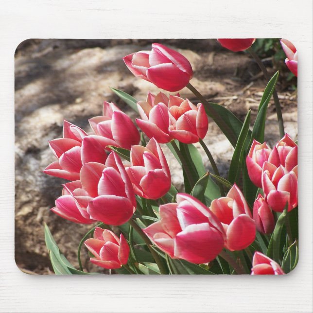 Tulips Mouse Pad (Front)