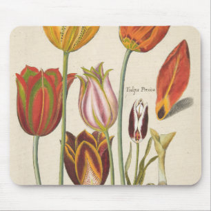 Tulips Mouse Pad