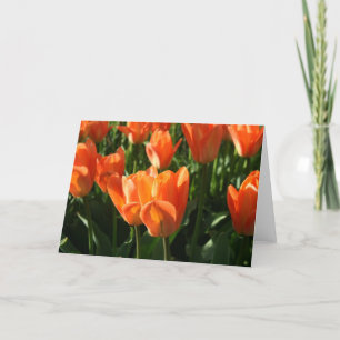 Tulips NoteCard