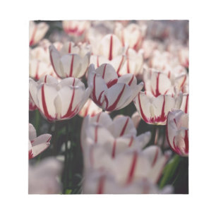 Tulips Notepad