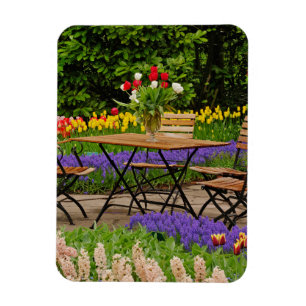 Tulips of table in garden, Keukenhof Gardens, Magnet