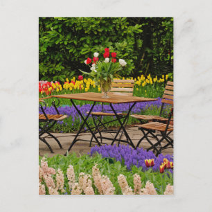 Tulips of table in garden, Keukenhof Gardens, Postcard