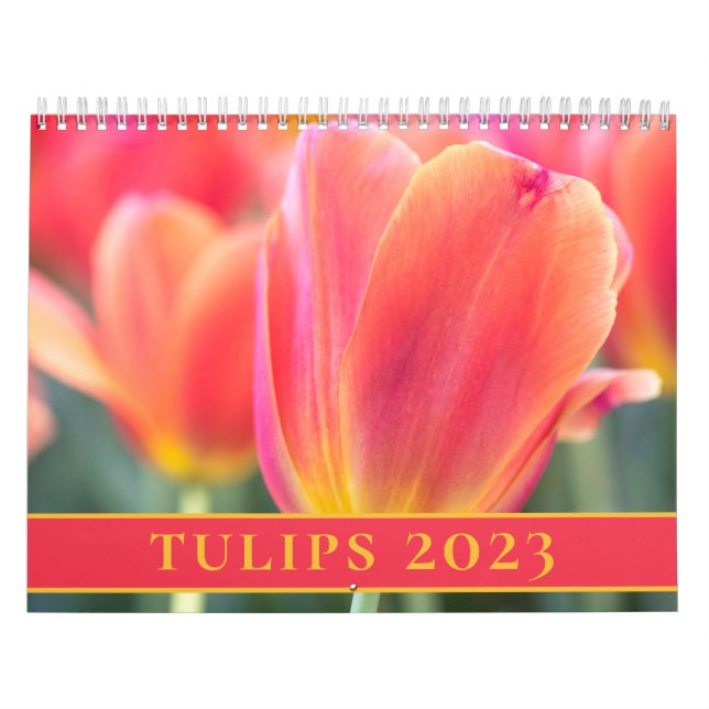 Tulips Photography 2023 Calendar (Cover)