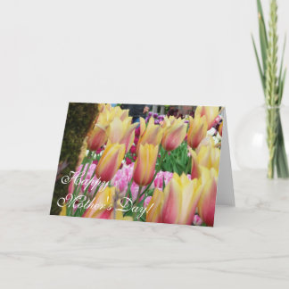Tulips - Pink and Yellow - Happy Mother's Day Card