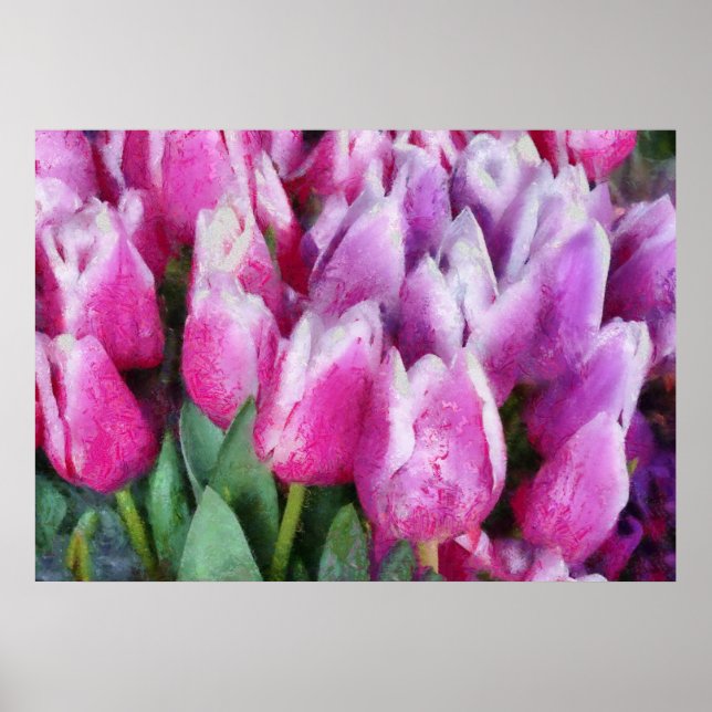 Tulips - Pink & Purple Tulips Poster (Front)