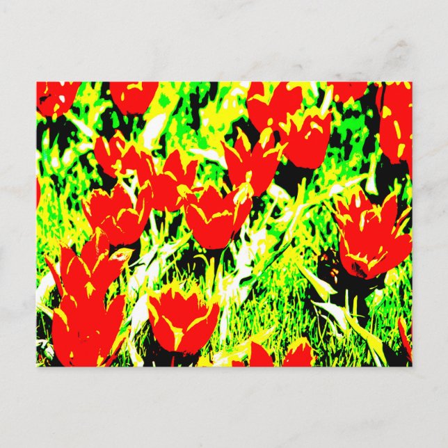 Tulips Postcard (Front)