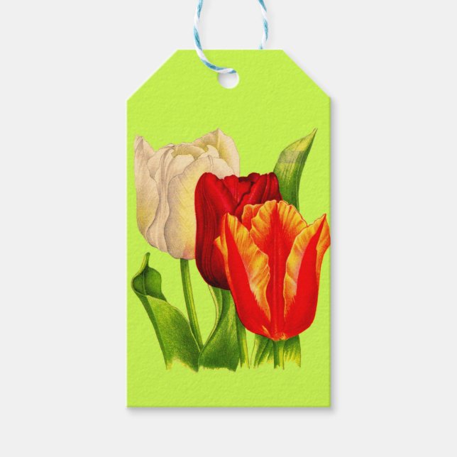 tulips print gift tags (Front)