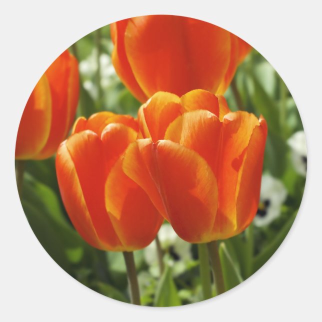Tulips Sticker (Front)