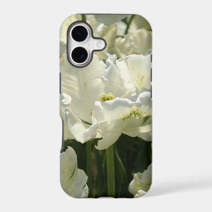 Tulips the white