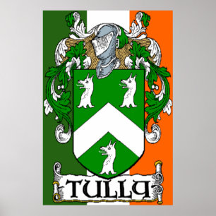 Tully Coat of Arms Irish Flag Print
