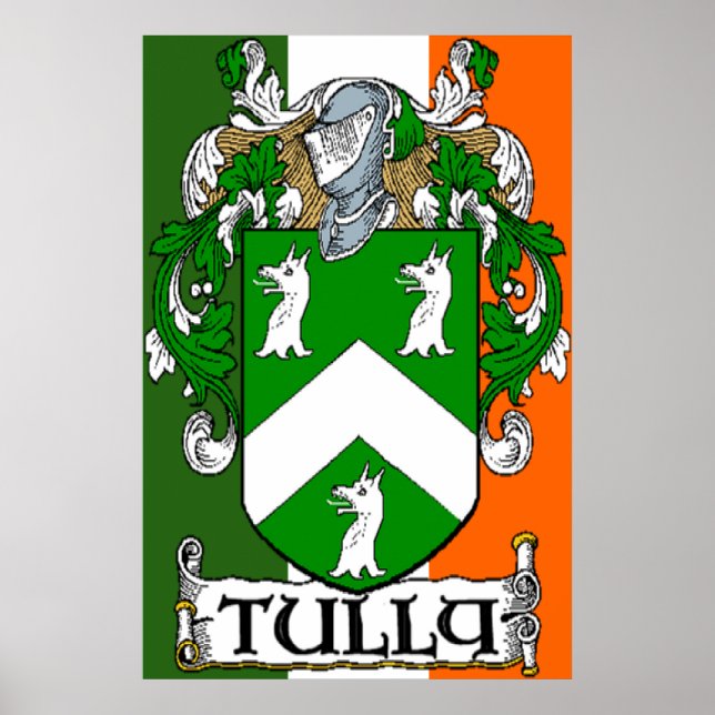 Tully Coat of Arms Irish Flag Print (Front)