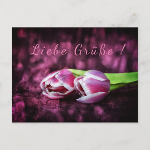 Tulpen Gruß Postcard