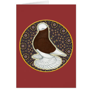 Tumbler Pigeon Circle